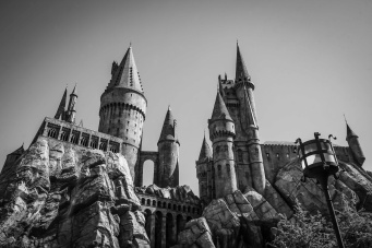 Pexels solyartphotos 10993195